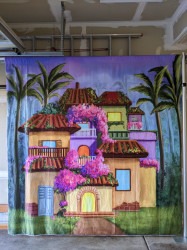 PXL 20221101 212529699 1732916661 1 Encanto Themed Backdrop