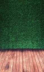 Patio20Greenery20Backdrop20Fully20Raised 1732916812 1 Patio Greenery Backdrop