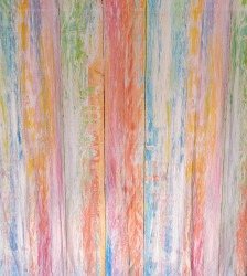Rainbow Vertical Stripe Backdrop