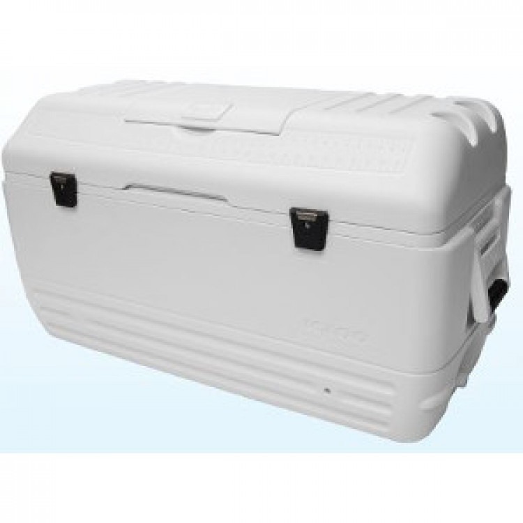 Cooler 120 - 150 Quart