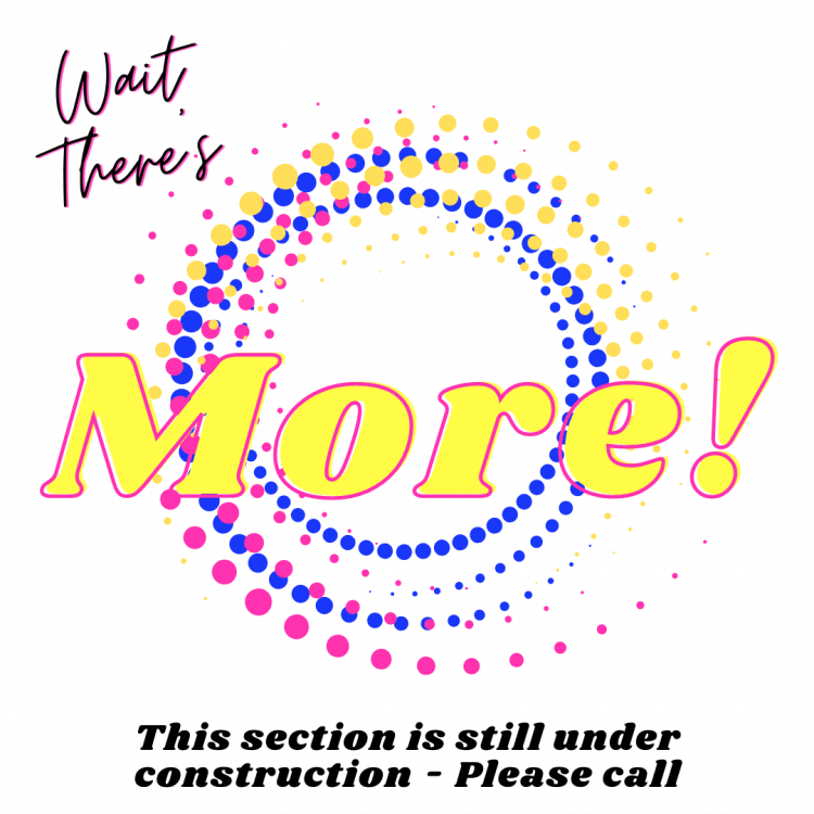 Spiderman Bounce House