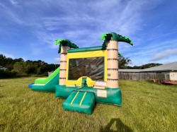 Tropical20Combo_1709436627