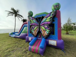 TestSite Butterfly2 1715199450 3D Butterfly Slide Combo