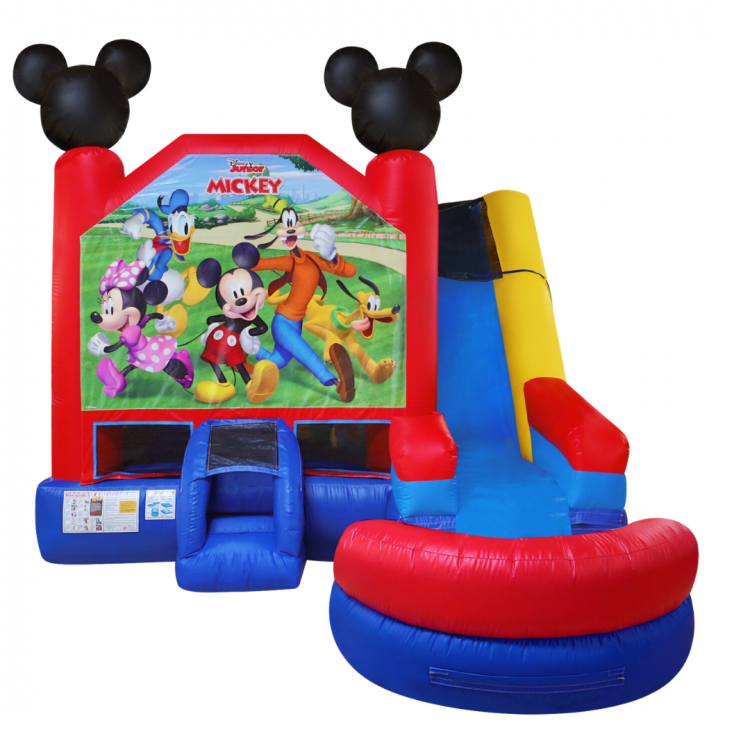 MICKEY AND FRIENDS 6-in-1 Combo Wet/Dry