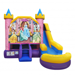 6 1693983968 DISNEY PRINCESS 6-in-1 Combo Wet/Dry