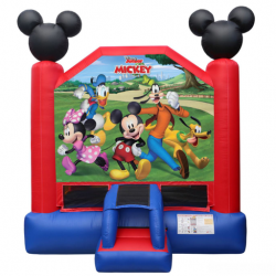 Mickey & Friends Bouncer